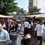 Pedale por SP: Roteiros de Bicicleta para Curtir a Cidade