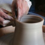 Natureza Escondida: Roteiros para Observação de Aves e Exploração da Flora nos Parques de São Paulo