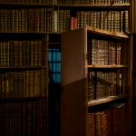 Os melhores parques de SP para piqueniques e descanso ao ar livre