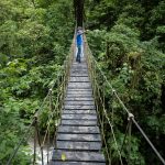 Sabores do Oriente em São Paulo: Onde Comer Comida Árabe Autêntica