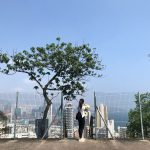 Roteiro Cultural no Centro Histórico: Um Mergulho no Passado de São Paulo